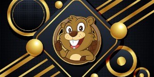 Castordor Hosting